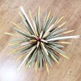 Table called Coco Chanel