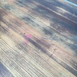 Pirkka Early dining table from the mid-century by Ilmari Tapiovaara for Laukaan Puu, 1960s.