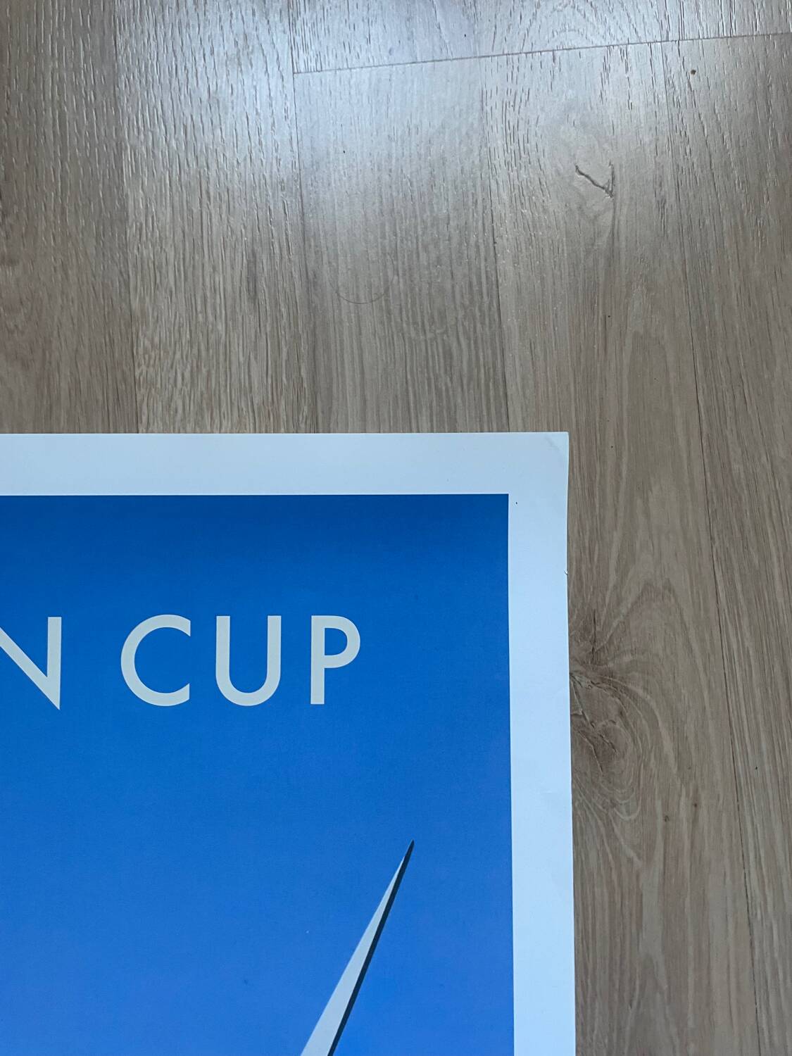 Louis Vuitton Cup Poster