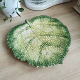 Cabbage leaf dish