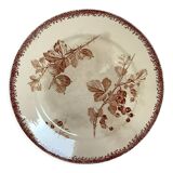 Old earthenware plate model gooseberries sarreguemines