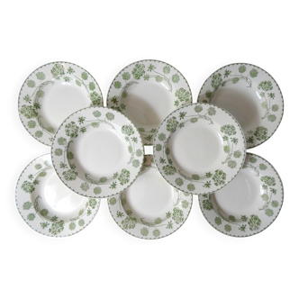 Terre de fer 8 assiettes creuses modèle GERANIUM