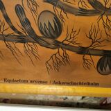 Botanical board coated tissue