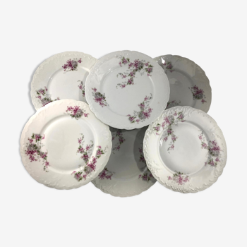 6 flat plates in white porcelain decoration lilac flowers