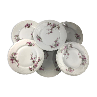6 flat plates in white porcelain decoration lilac flowers