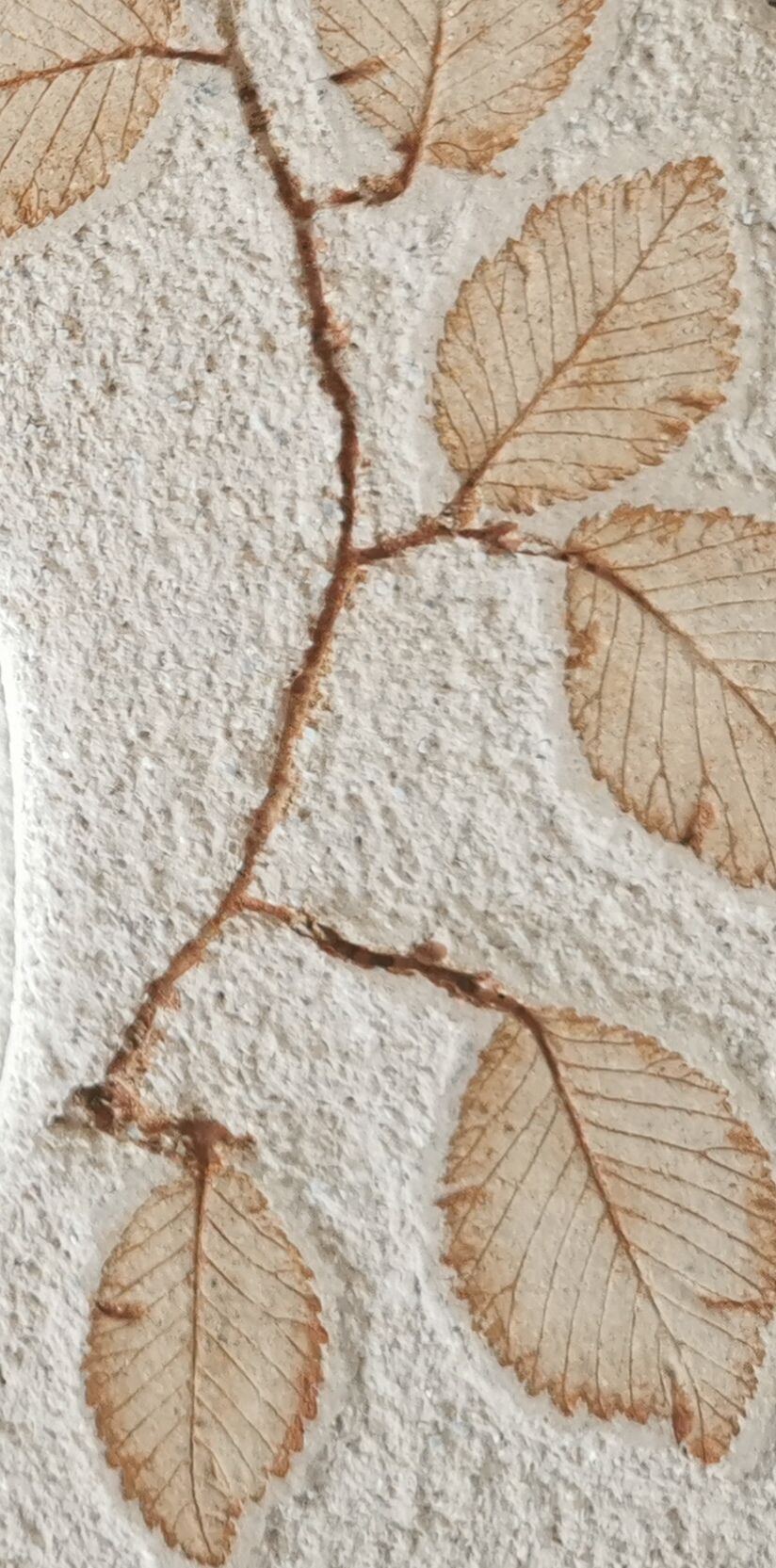 Miroir pierre naturelle feuilles