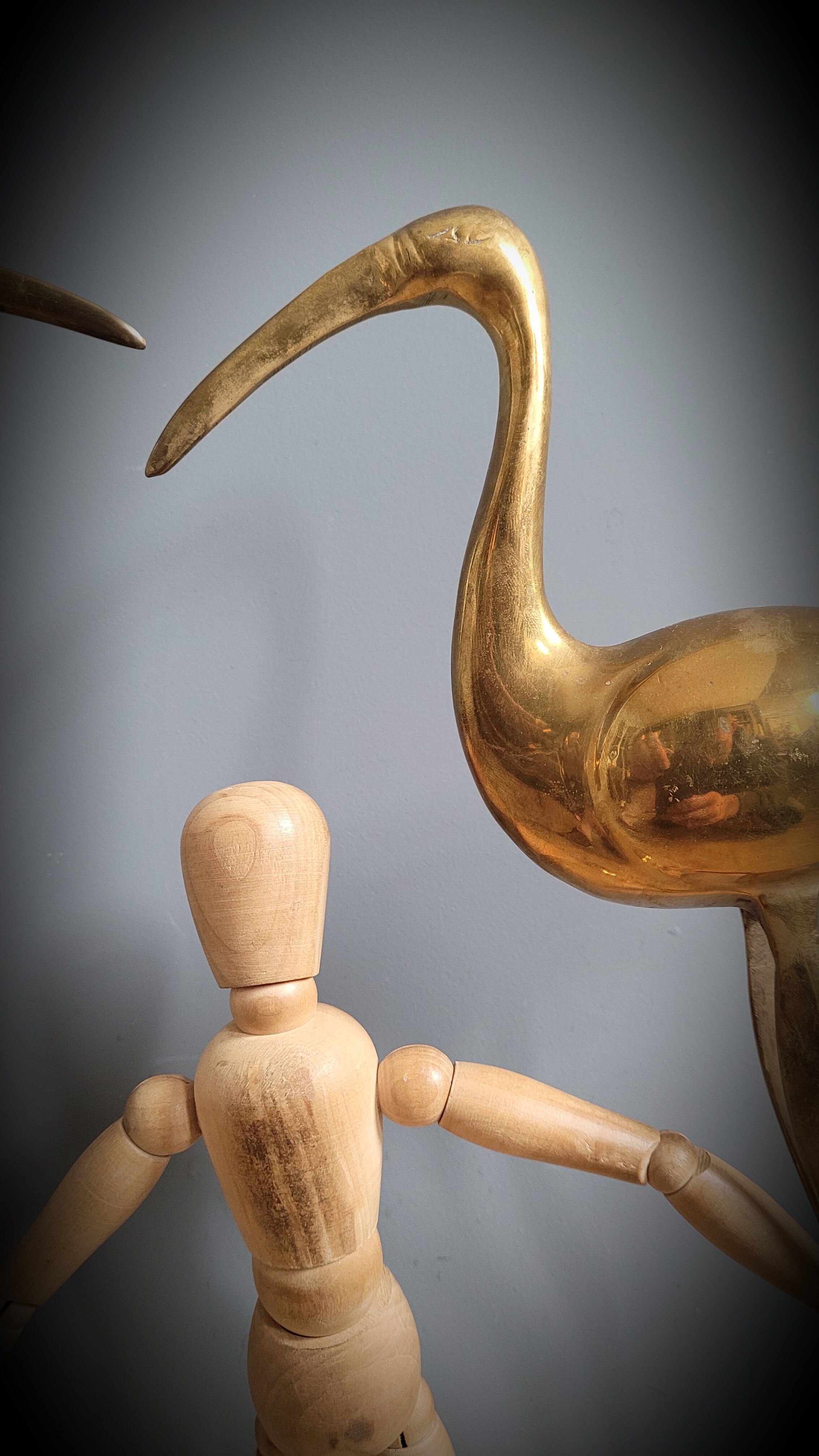 Duo great brass ibis