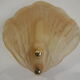 Wall shell sconce