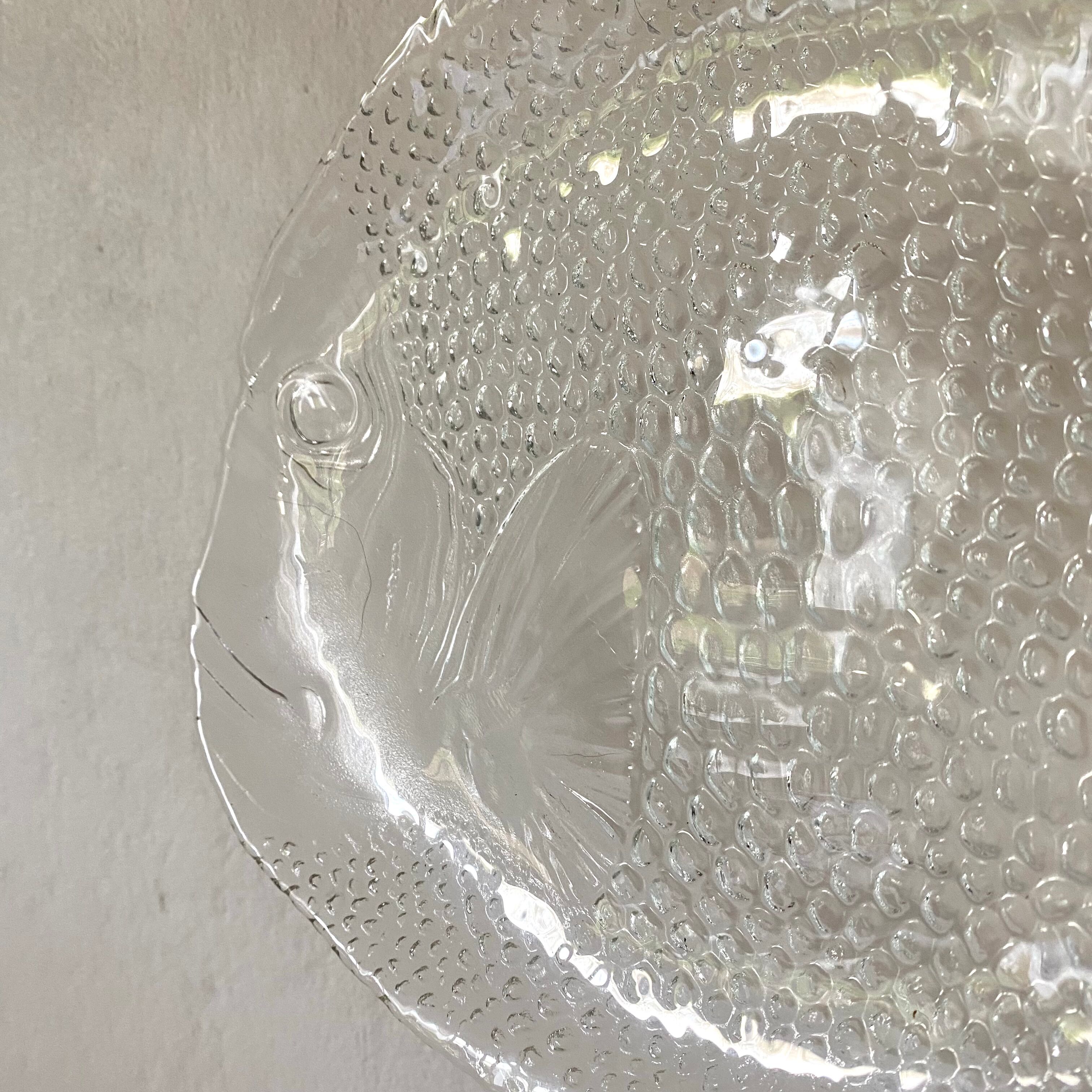 Glass fish plates