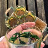 Basket of glasses with lemon pattern
