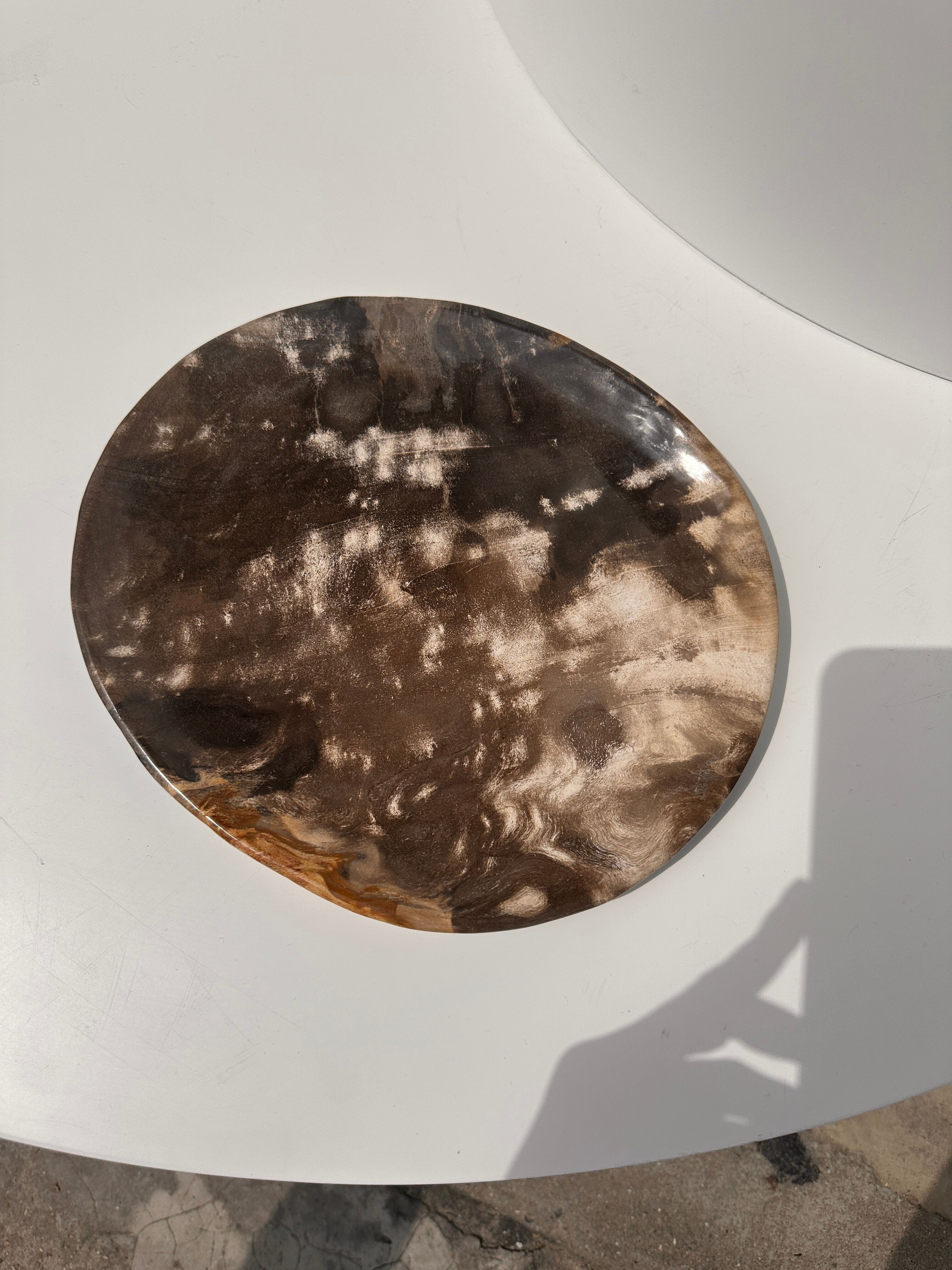 Dish in petrified wood