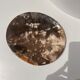 Dish in petrified wood