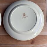 Adams Titian Ware House Plate