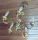 Brass chandelier with 5 branches