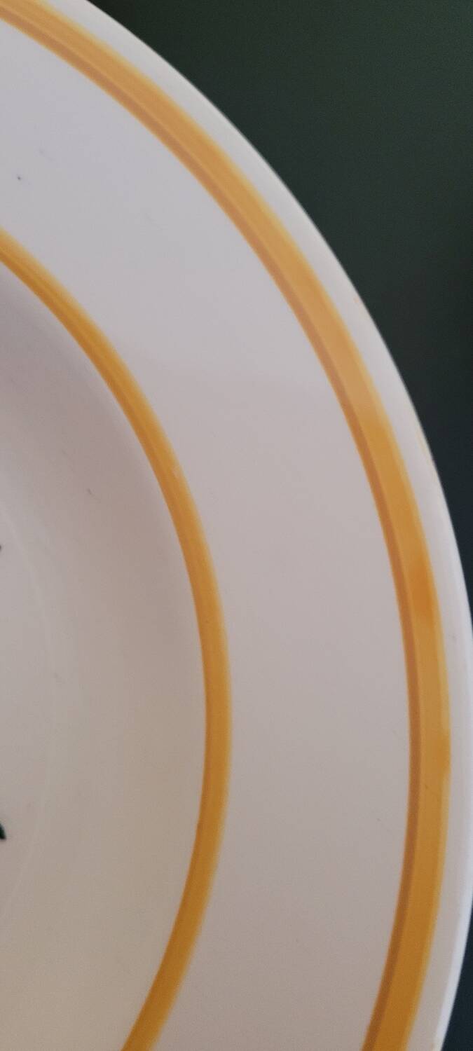 10 flat plates HBC Choisy le Roi