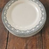 Serving of 6 plates in iron earth, Salins