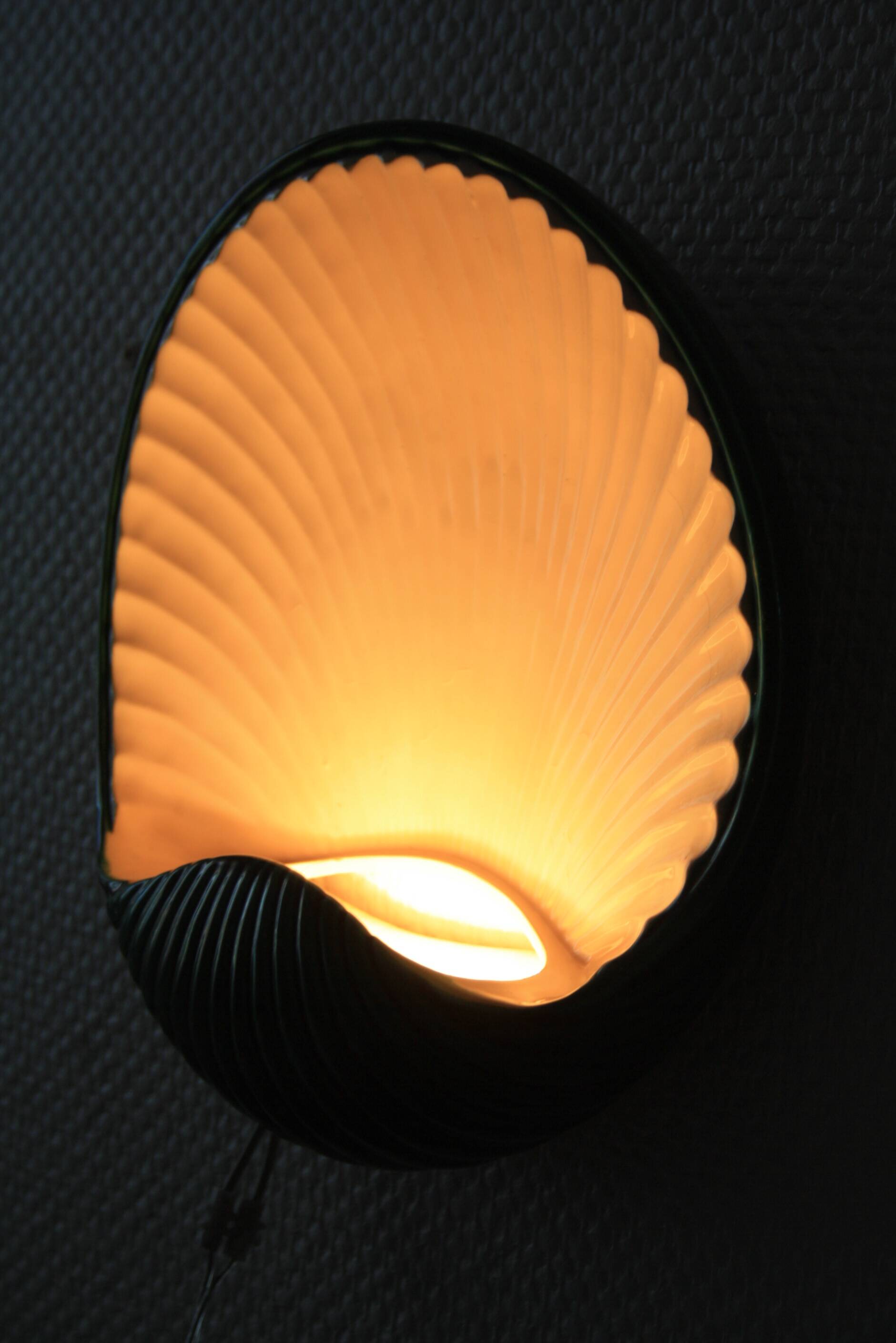 Ceramic shell wall light (4 available)