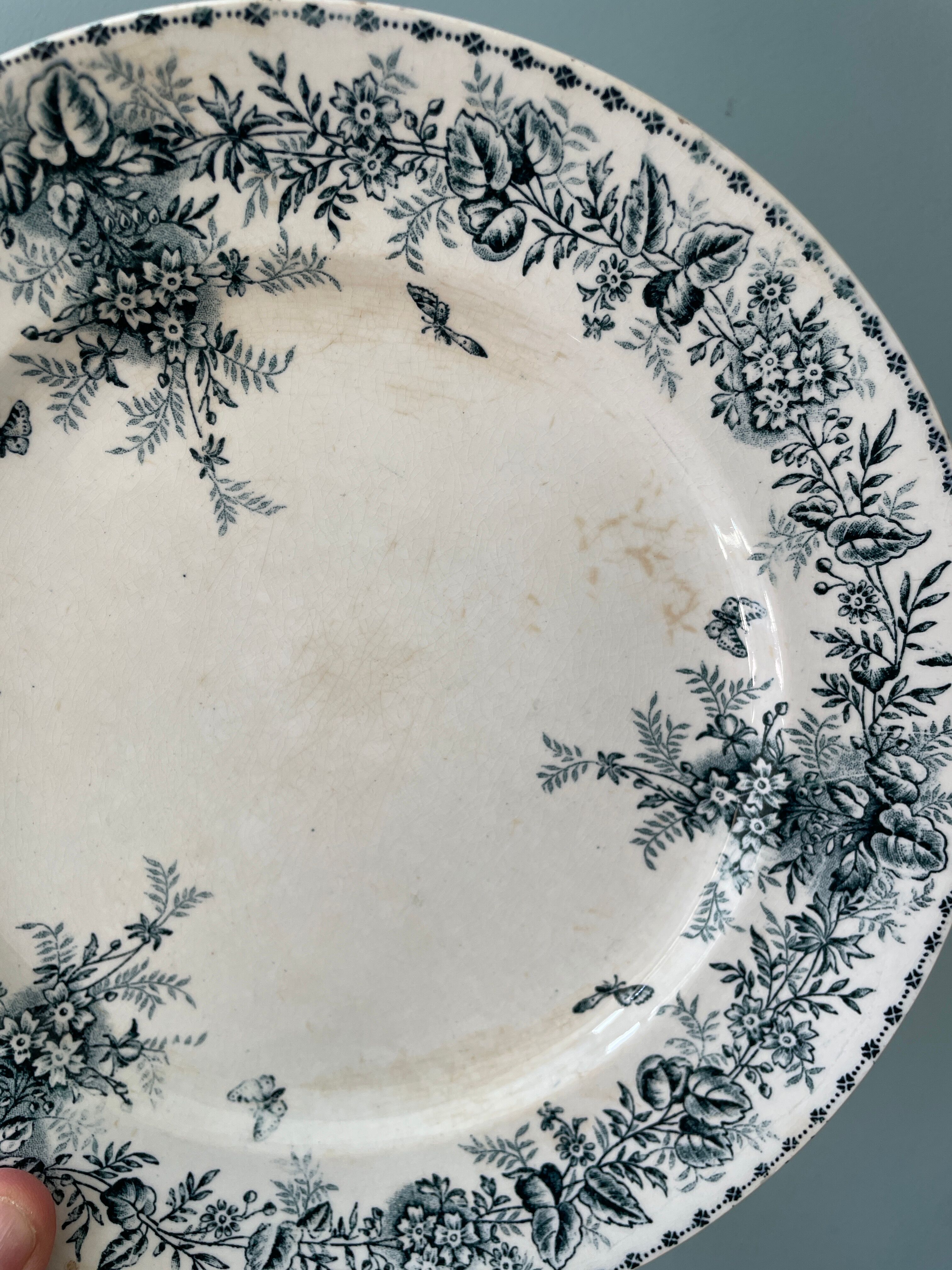 Set of 8 flat plates 19th century Terre de Fer, “Stella” Onnaing earthenware