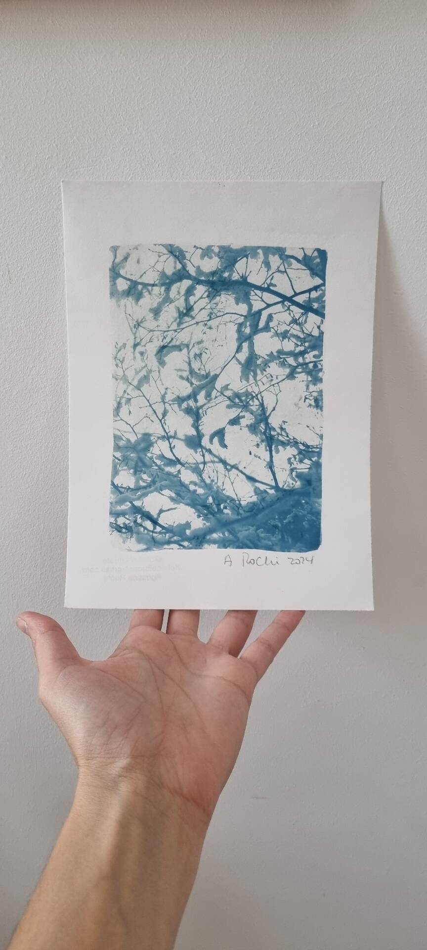 Handmade cyanotype botanical photography collection