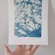 Handmade cyanotype botanical photography collection