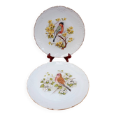 Deux assiettes en porcelaine de Limoges signées M.Hague