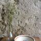 Plat creux motif chardons