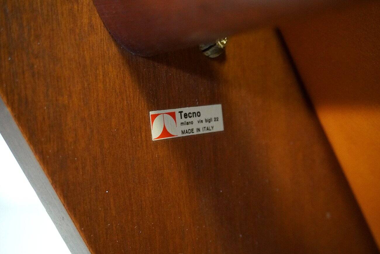 P110 Canada Lounge Chair by Osvaldo Borsani for Tecno, Italy, 1970s