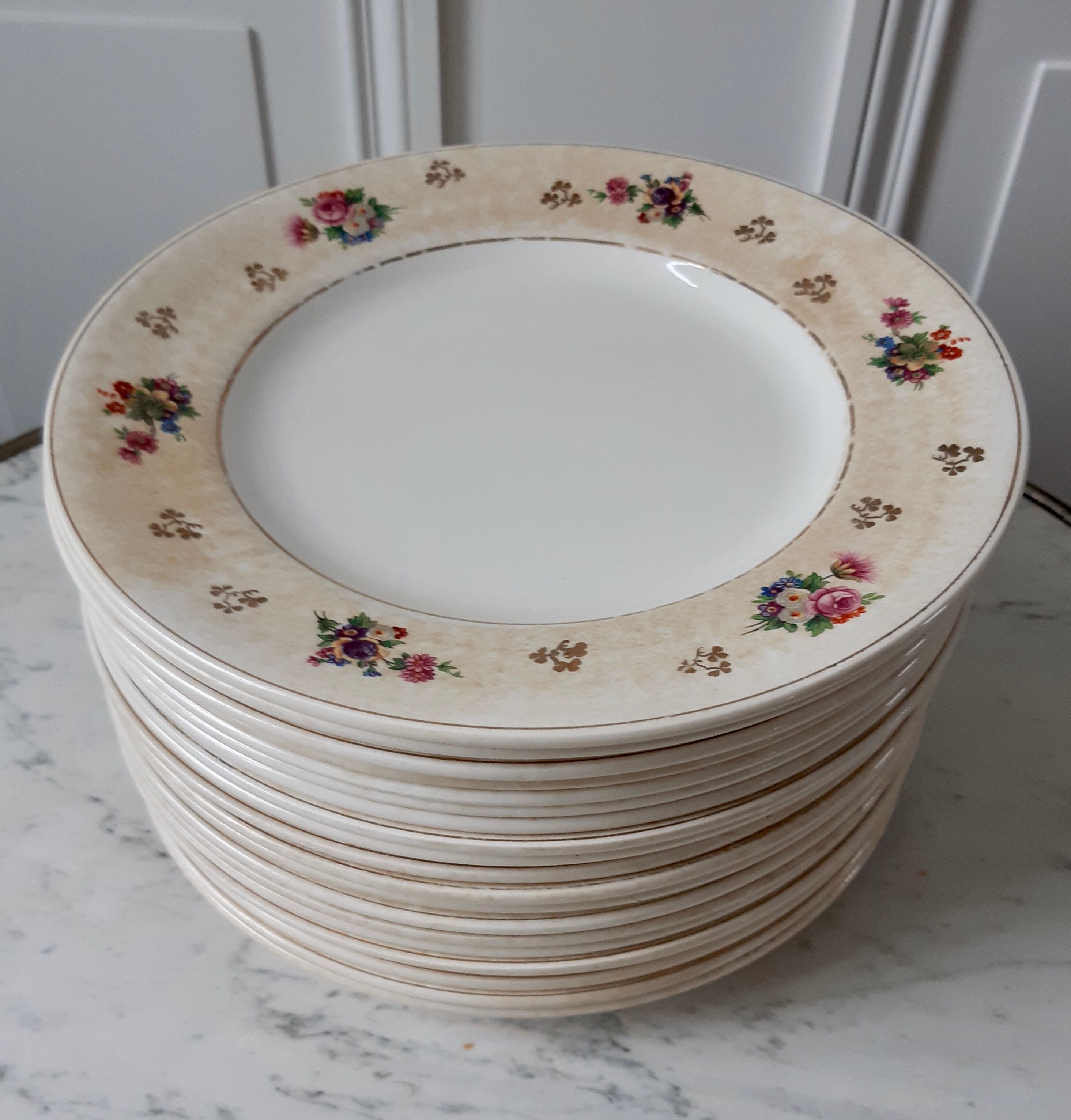 Lot de 10 assiettes plates Salins modèle Simone
