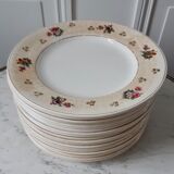 Lot of 10 flat plates Salins model Simone