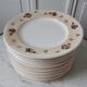 Lot de 10 assiettes plates Salins modèle Simone