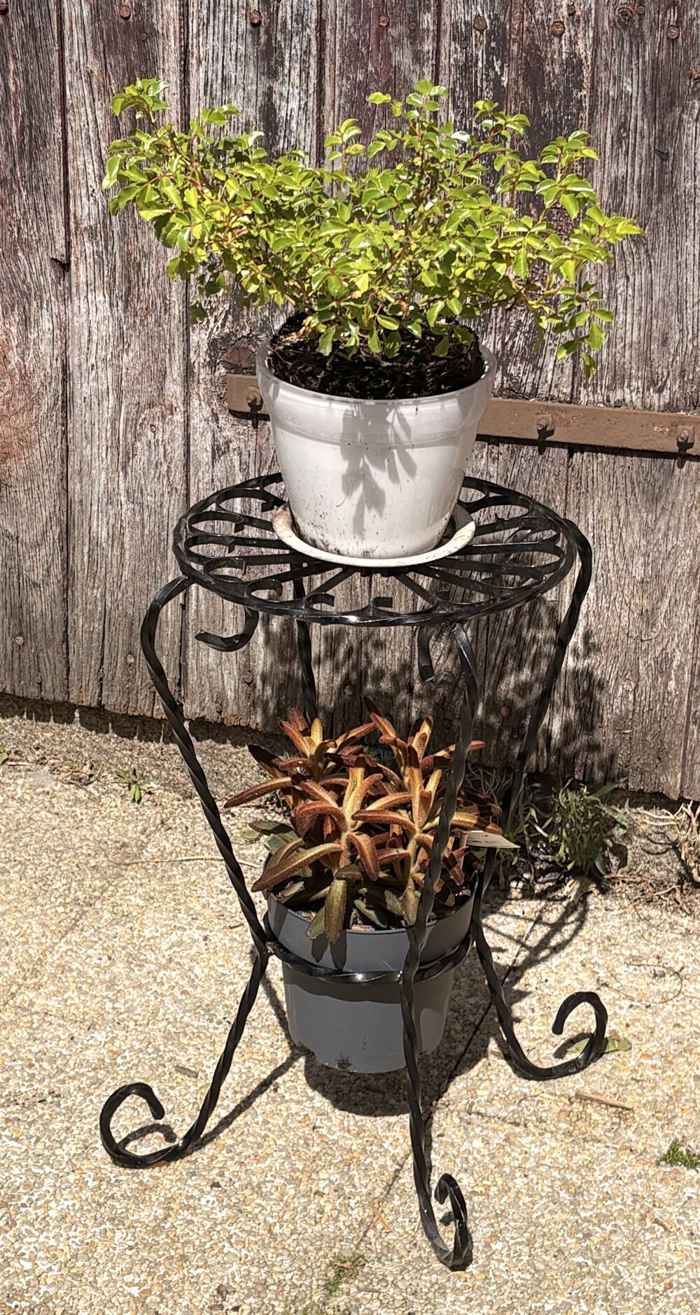 Guéridon porte-plante vintage fer forgé torsadé – Élégance romantique 50'