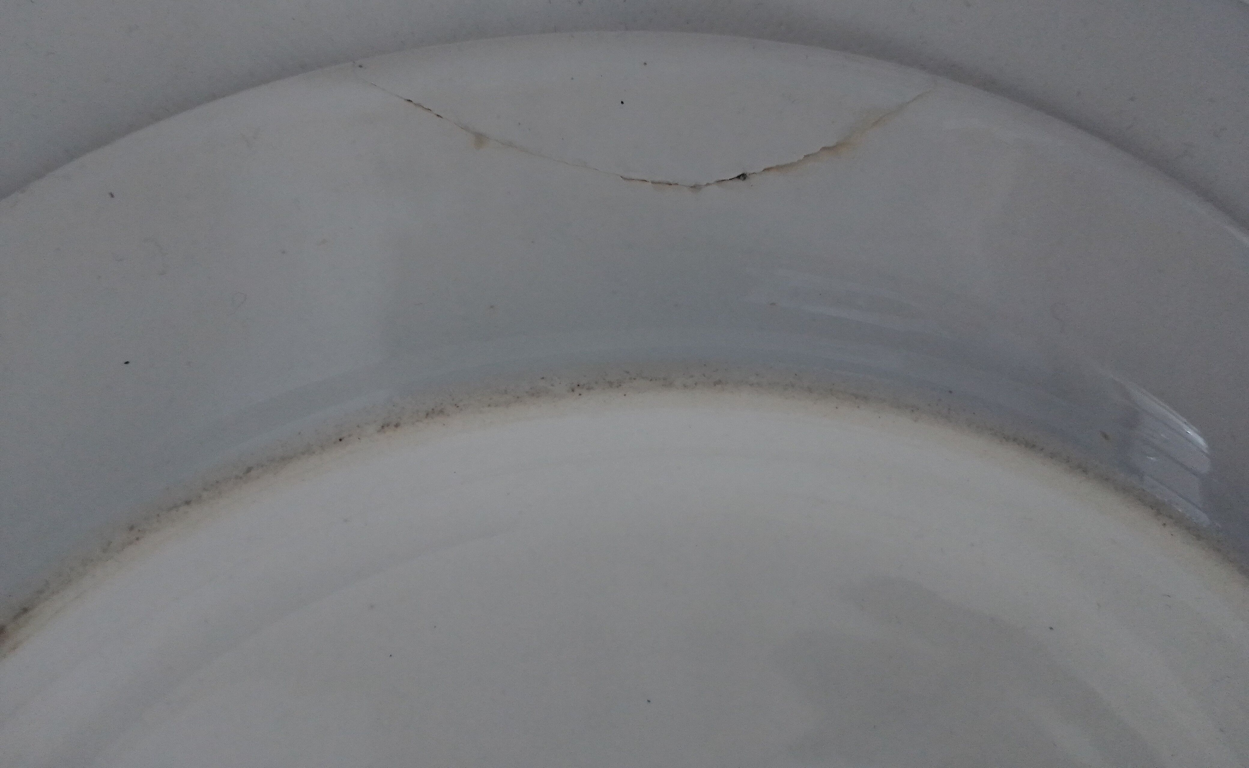 Vintage dish with floral motifs