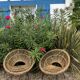 Pair of rattan armchairs