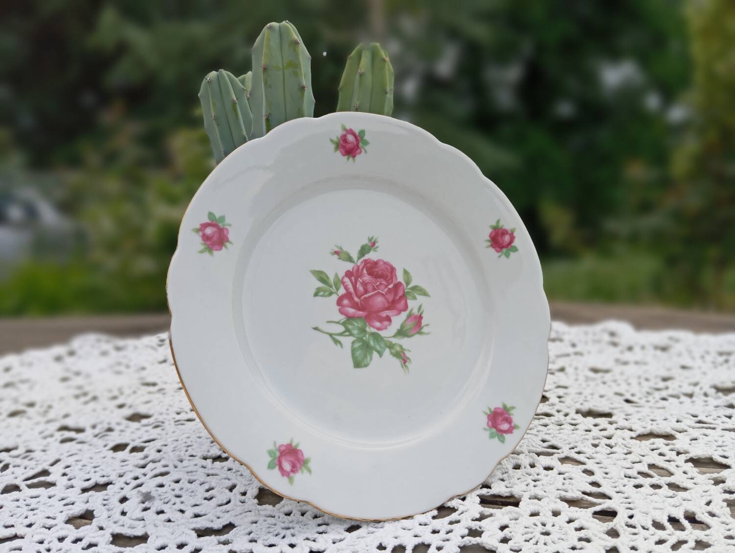 Seltmann Weiden Roses Decorated Retro Porcelain Dessert Plate