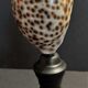 Cabinet of Curiosities shell cypraea tigris on base