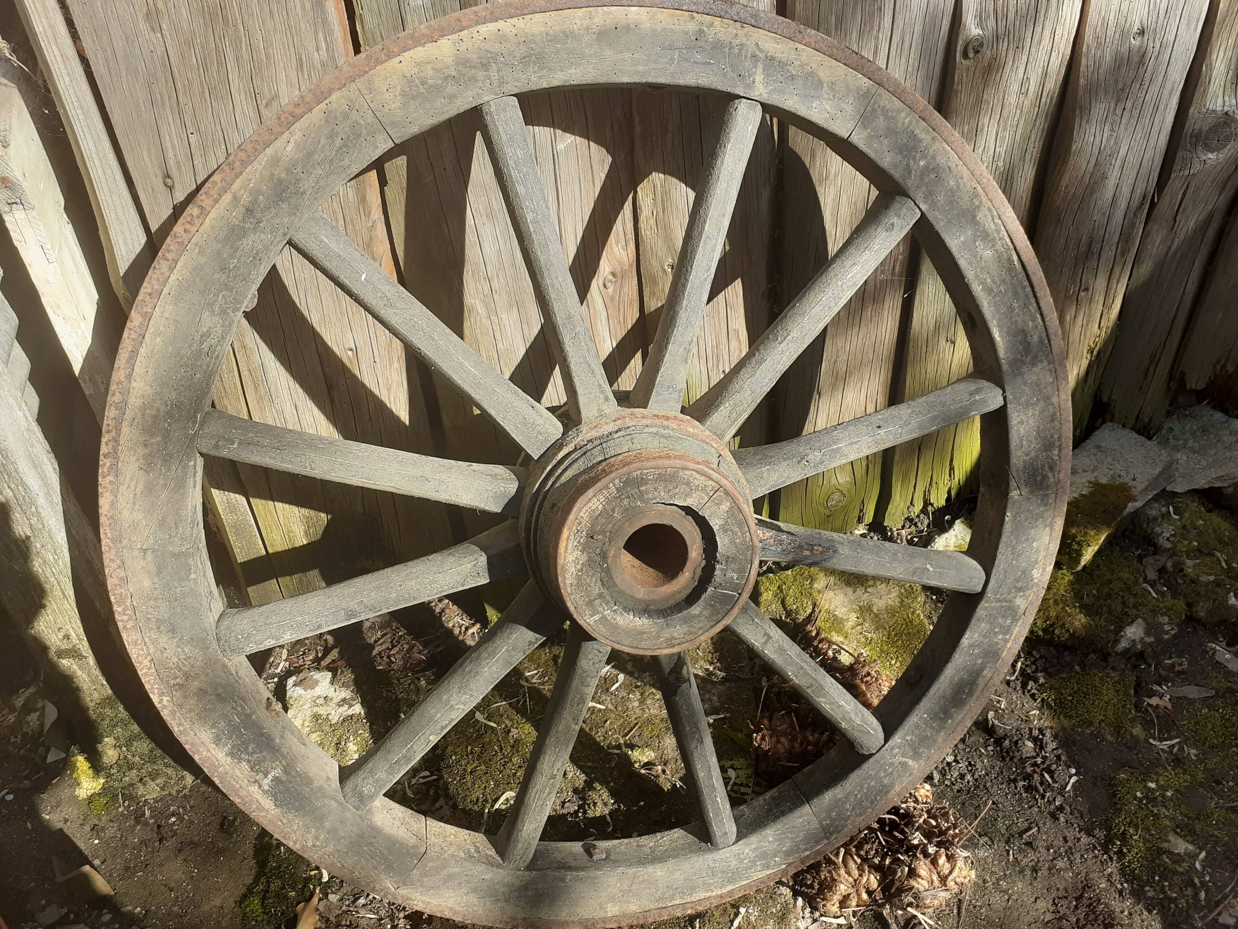 Cart wheel
