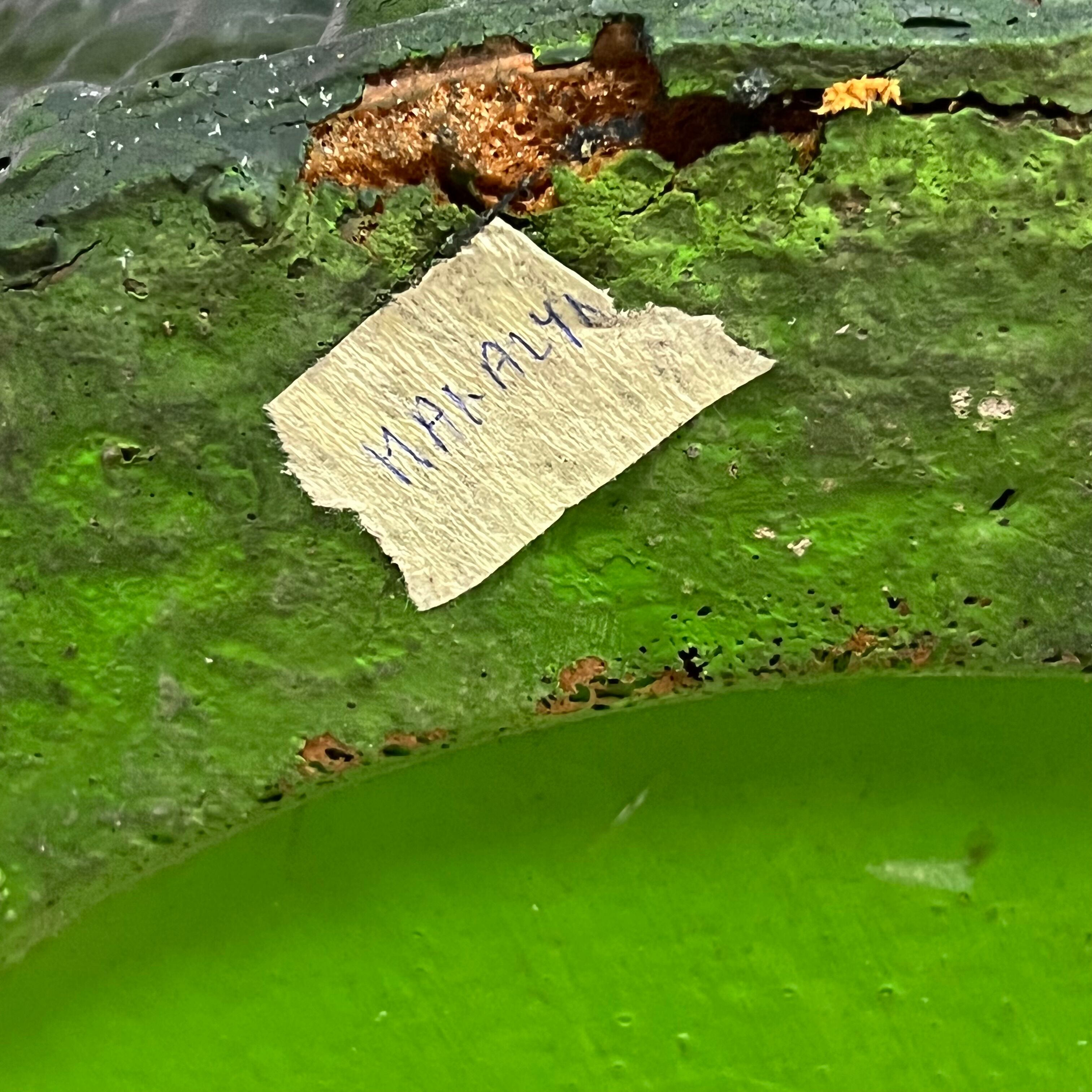 Cactus coat rack by Guido Drocco and Franco Mello for Gufram 1972