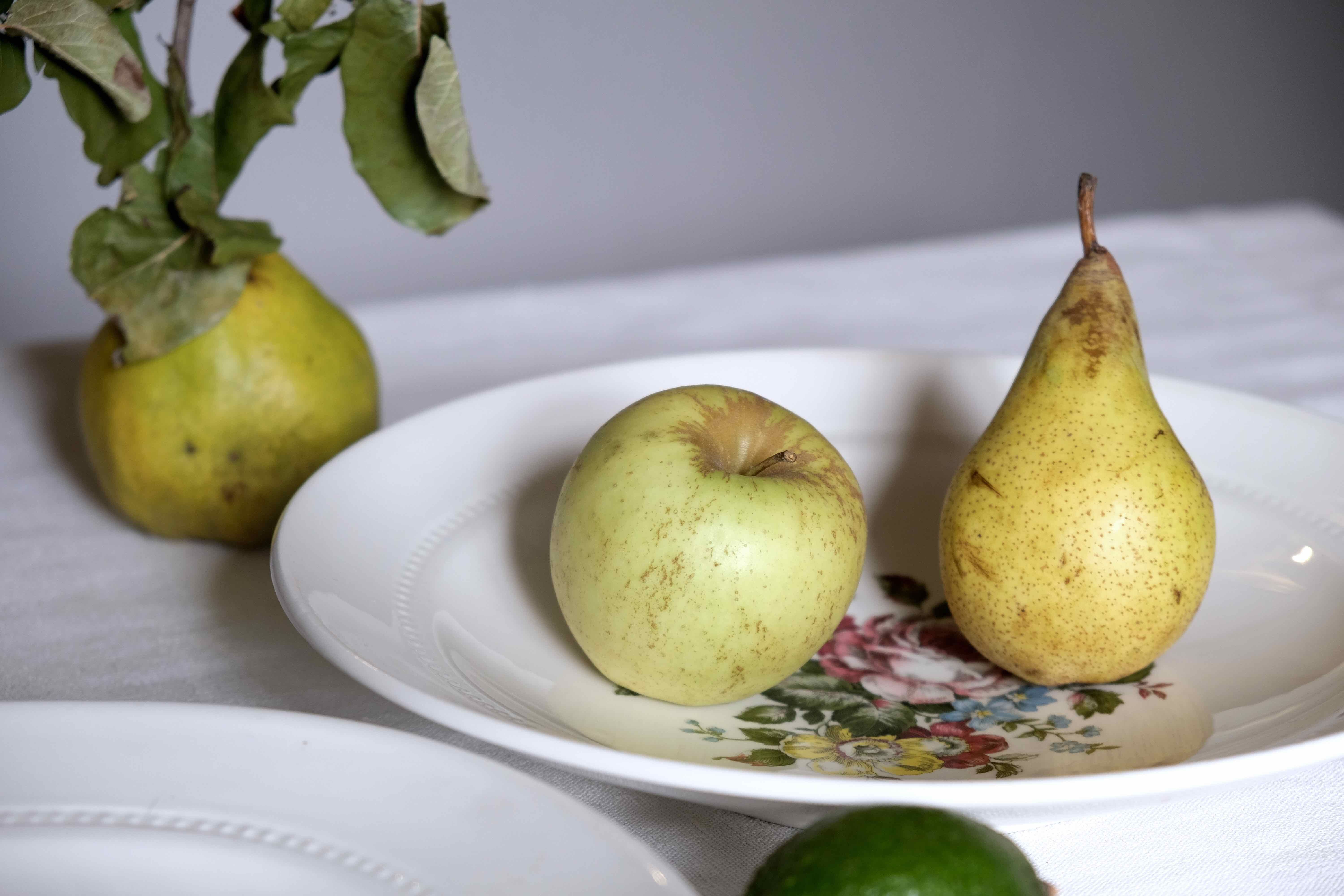 Flat faience of Lunéville China Keller & Guerin 1889 "Chaillot of Vercor" decoration in engraving enhanced drawing flowers