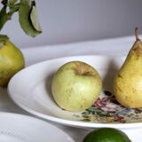 Flat faience of Lunéville China Keller & Guerin 1889 "Chaillot of Vercor" decoration in engraving enhanced drawing flowers