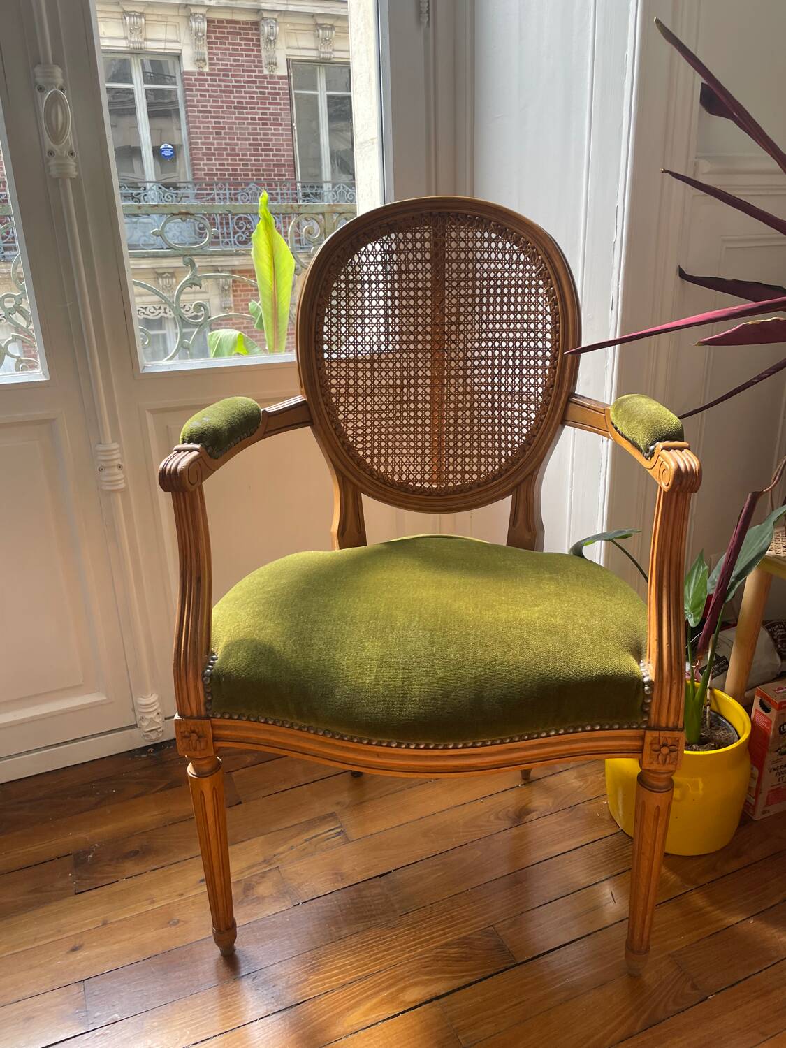 Louis XVI style armchair in velvet and rattan