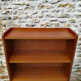 Vintage library