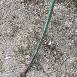 Riveted green old garden pedestal table