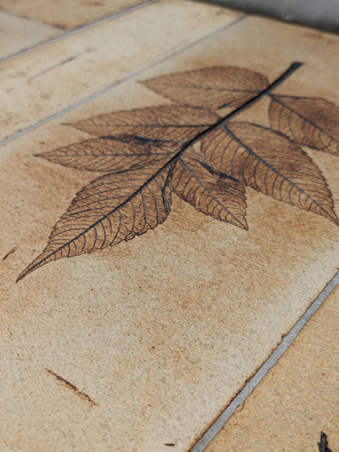 Roger Capron "herbarium" rectangular coffee table with patinated steel structure