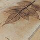 Roger Capron "herbarium" rectangular coffee table with patinated steel structure