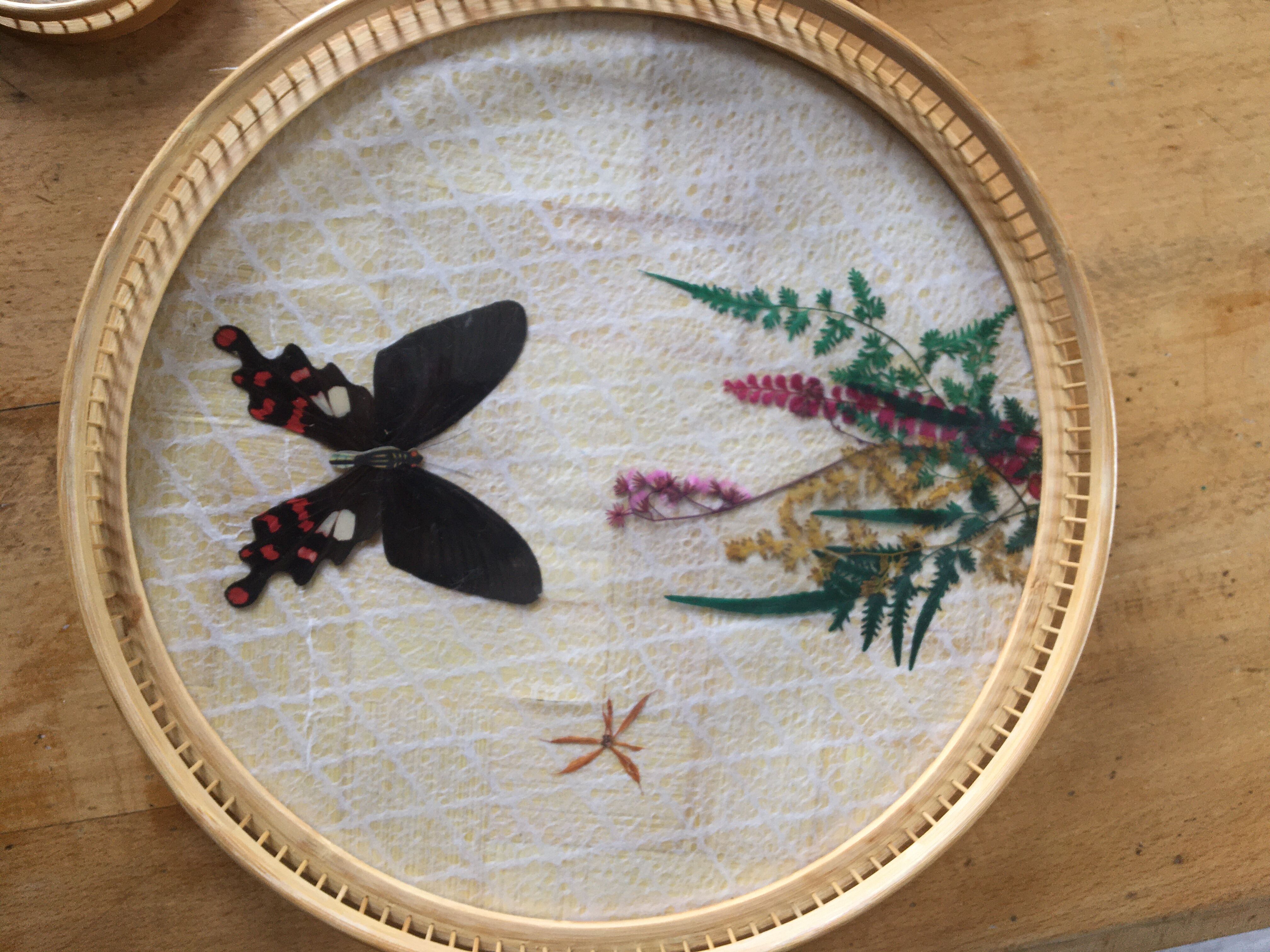 6 under glasses and its tray