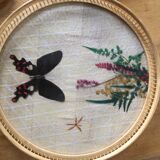 6 under glasses and its tray