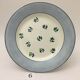 Set of 6 plates flat "digoin sarreguemines" model albe