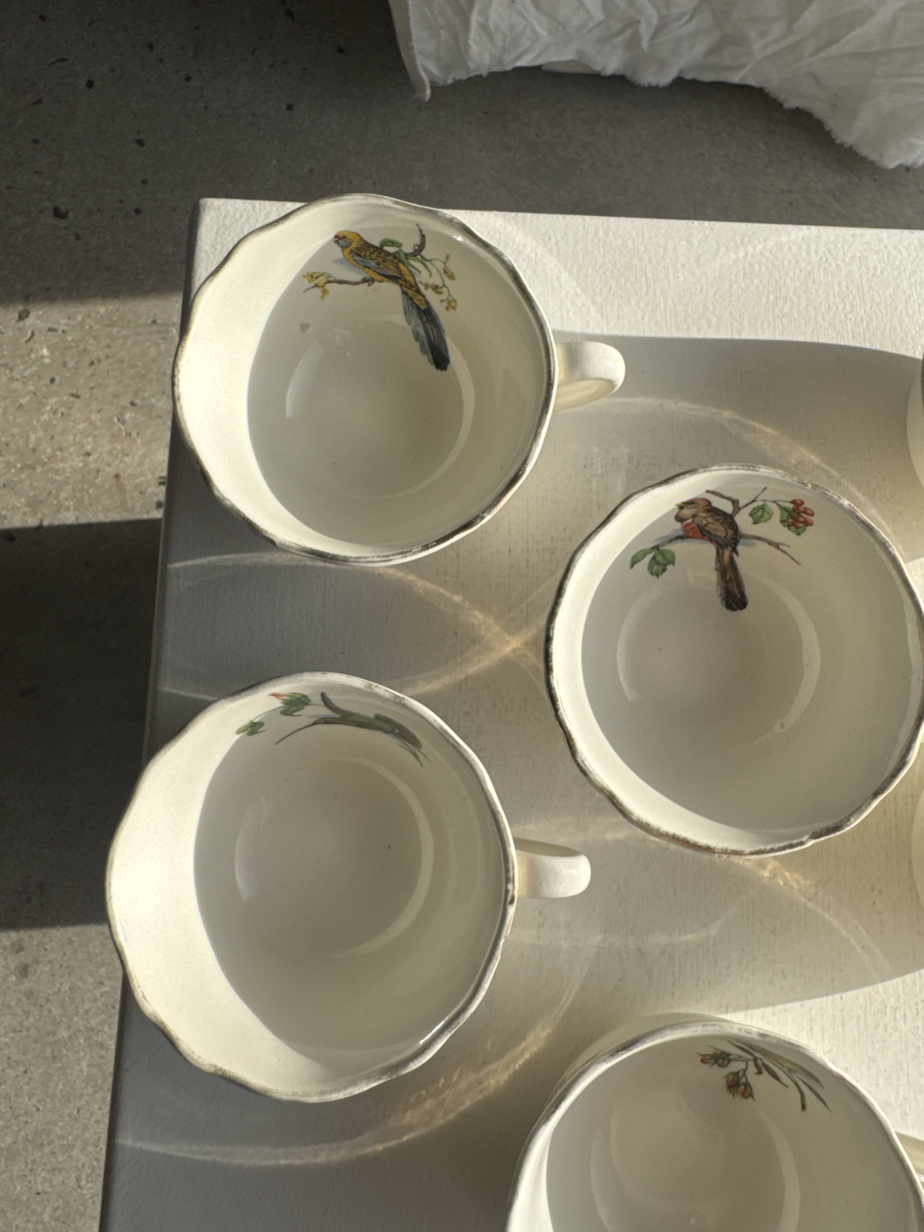 Lot de 6 tasses à café à motifs d'oiseaux anciennes