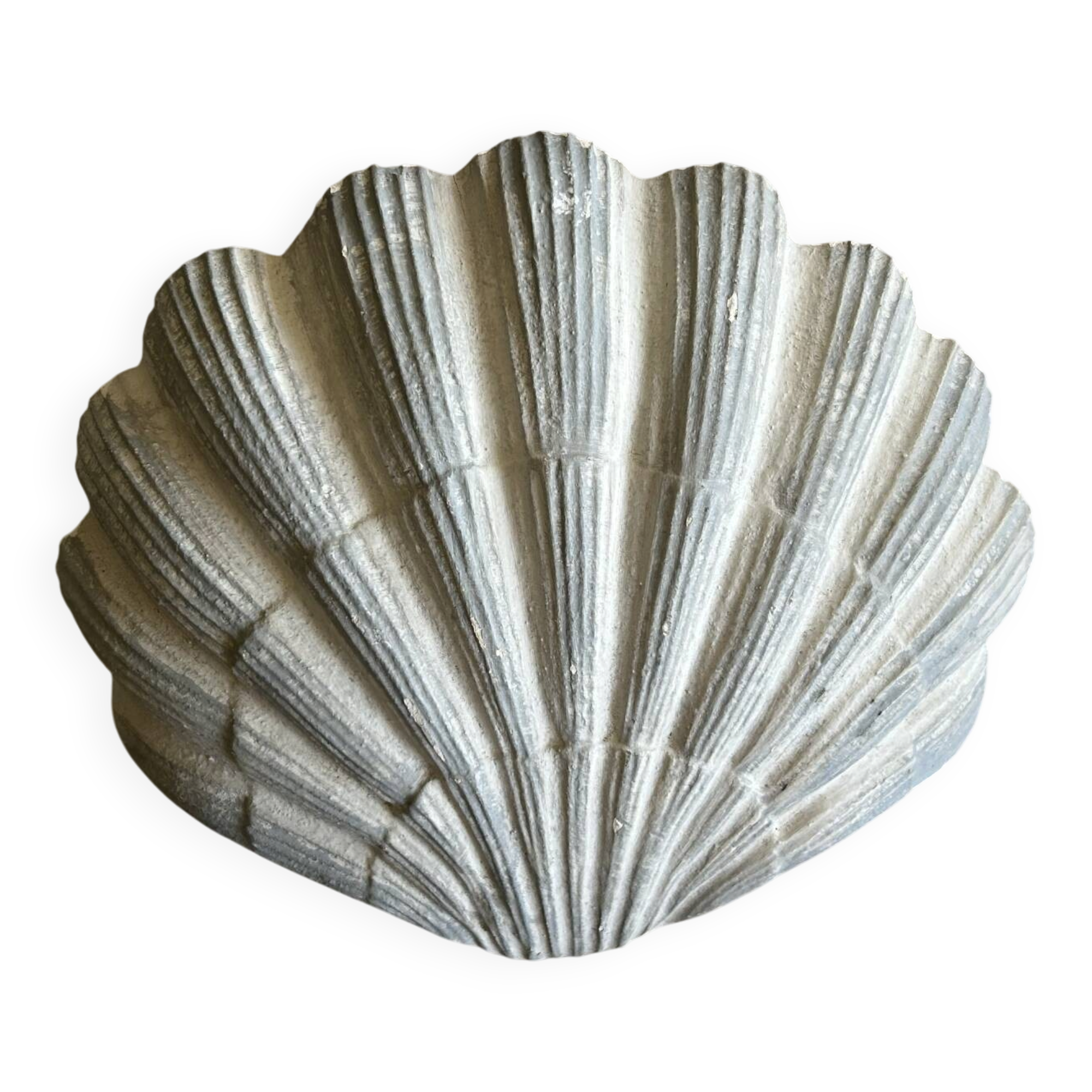 Applique coquillage en plâtre ancienne