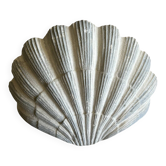 Old plaster shell applique